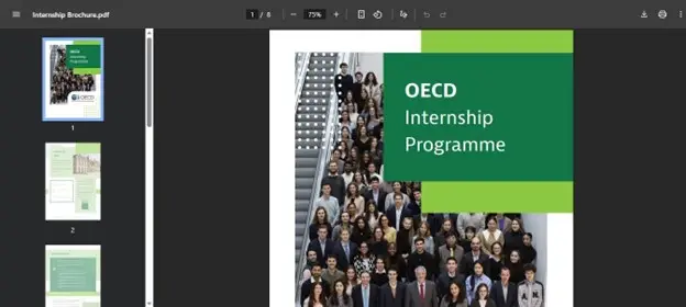 oecd internship programme application steps 4