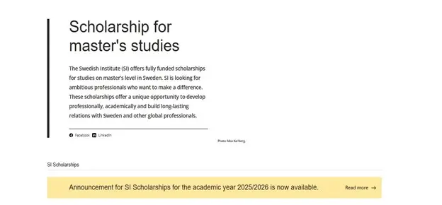 swedish institute scholarships application process 4